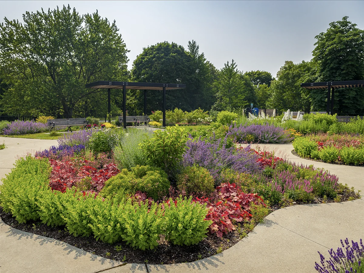 Spring brings hope: the Rosehill Garden – building community