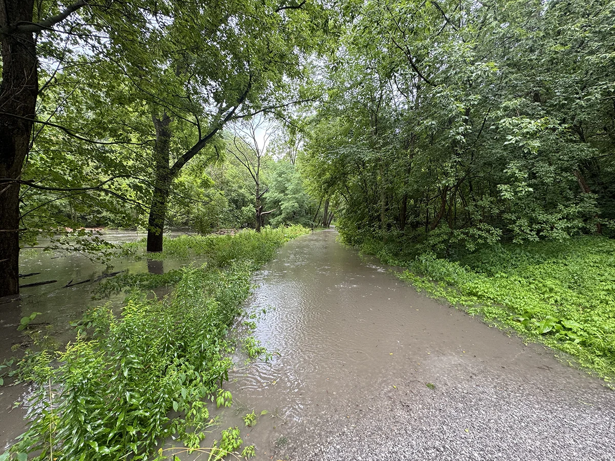 August downpour highlights Yellow Creek issues